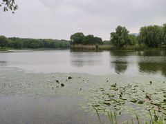 -长广溪湿地公园