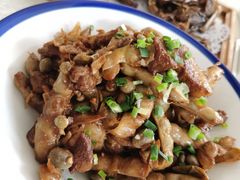-食家鸽园