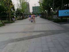 -南翔镇银翔湖公园