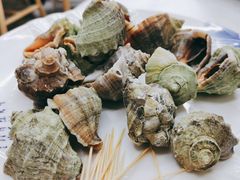清蒸小海螺-北戴河庆山饭店·海鲜砂锅粥(北戴河黑石路店)