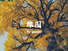 -豫园