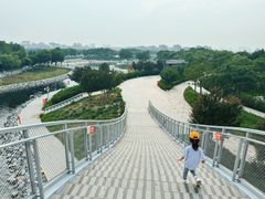 -天津金海湖