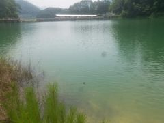 -广州市流溪河国家森林公园