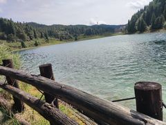 -武陵山森林公园