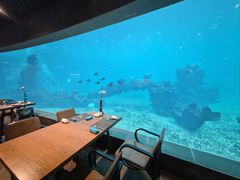 -海棠湾洲际-涛·海底餐厅·美人鱼·自助餐·海底隧道