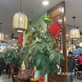 奥灶面 生意兴隆 好吃小贵