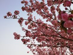 -古柏渡飞黄旅游区