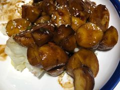 -素虎小呆鸟(西二旗店)