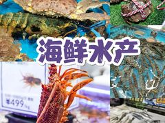 -盒马X会员店(上海森兰商都店)