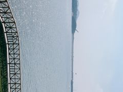 -望湖烤鱼