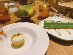 -柴务处·柴犬主题狗咖