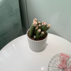 -常熟时代医疗美容