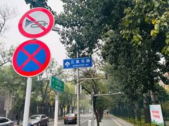 -三里屯东五街银杏大道
