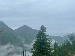 -泽雅景区