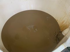 -100蛋泥浆浴