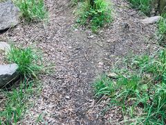 -碓臼峪自然风景区