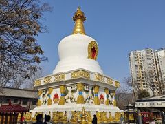 -护国法轮寺