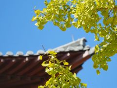 -径山寺