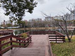-新江湾城公园