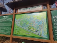 -泗洪洪泽湖湿地景区