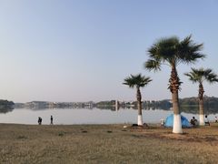 -仙湖旅游度假区