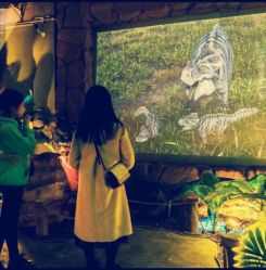 -恐龙探索乐园(磁器口店)