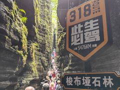 -梭布垭石林景区