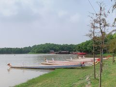 -上海海湾国家森林公园