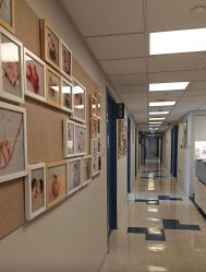 -杭州贝瑞斯美华妇儿医院·早孕·产检·儿科