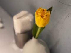 -夏朵花园(复兴西路店)