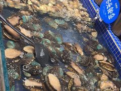 -丰卓会海鲜自助(中润大道店)