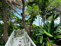 -卷心菜和避孕套餐厅(Pattaya)