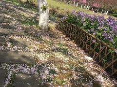 -白塘生态植物园