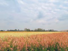 -中国天府农业博览园