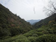 -西湖风景区十里琅珰-五云山