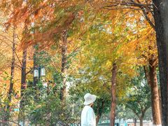 -广东外语外贸大学(白云山校区)