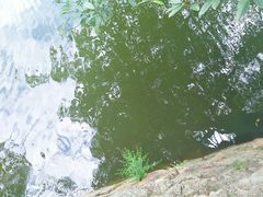 -韶山毛泽东同志故居