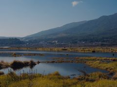 -腾冲北海湿地