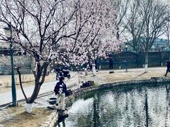 -三里河公园