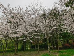 -贵阳市花溪国家城市湿地公园