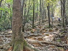 -火炉山森林公园