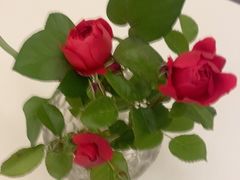 -洛阳宴·洛阳菜(南昌路店)