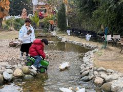 -HERRE·FARM 赫尔露营农场·团建聚会包场