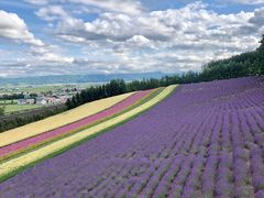 -富田农场