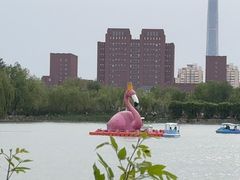 -天津水上公园
