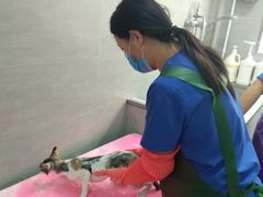 -宠福鑫康馨动物医院·骨科·眼科