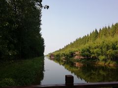 -黄海国家森林公园