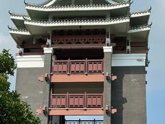 -王借岗森林公园