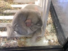 -仲盛世界商城