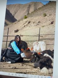 -风马映像摄影工作室(布宫店)